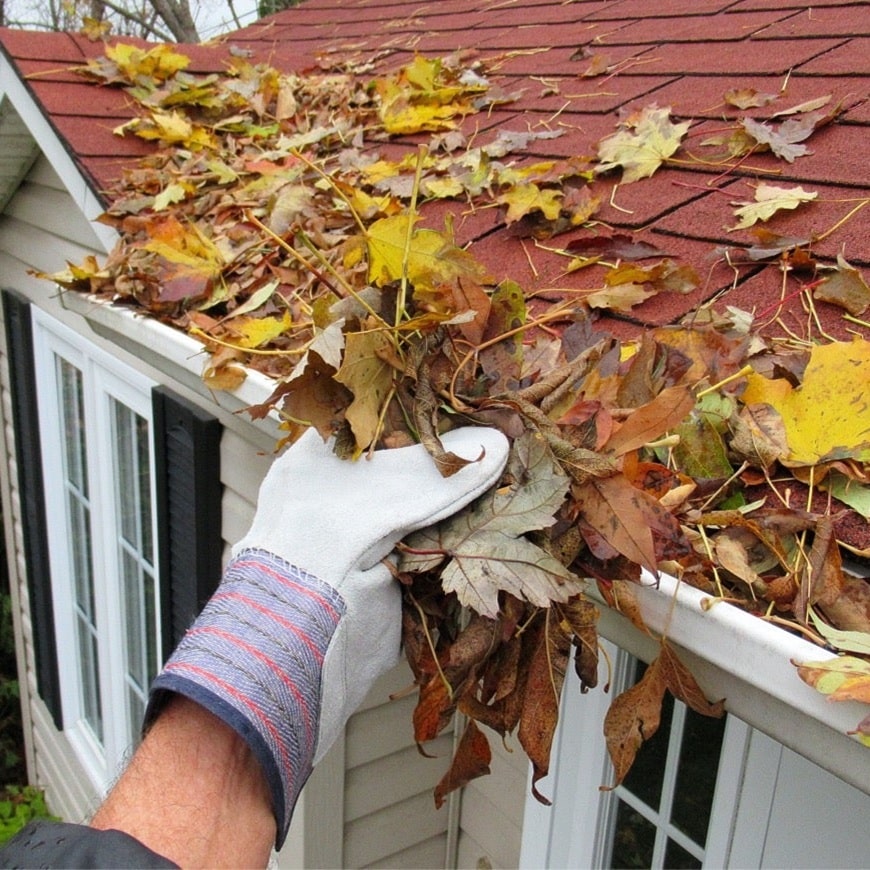 Gutter Cleanouts in Los Angeles, CA