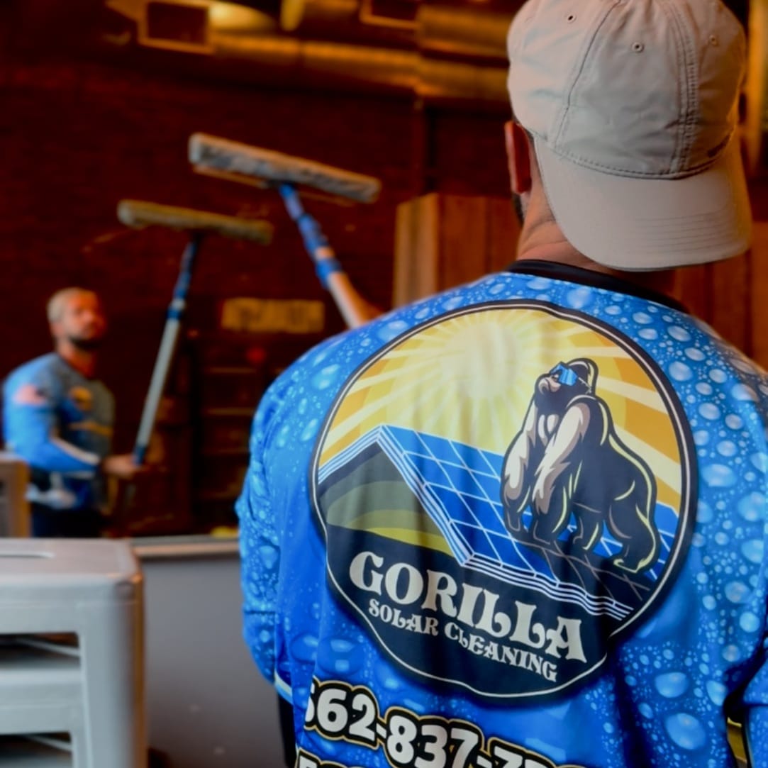 gorilla exterior cleaning in los angeles ca