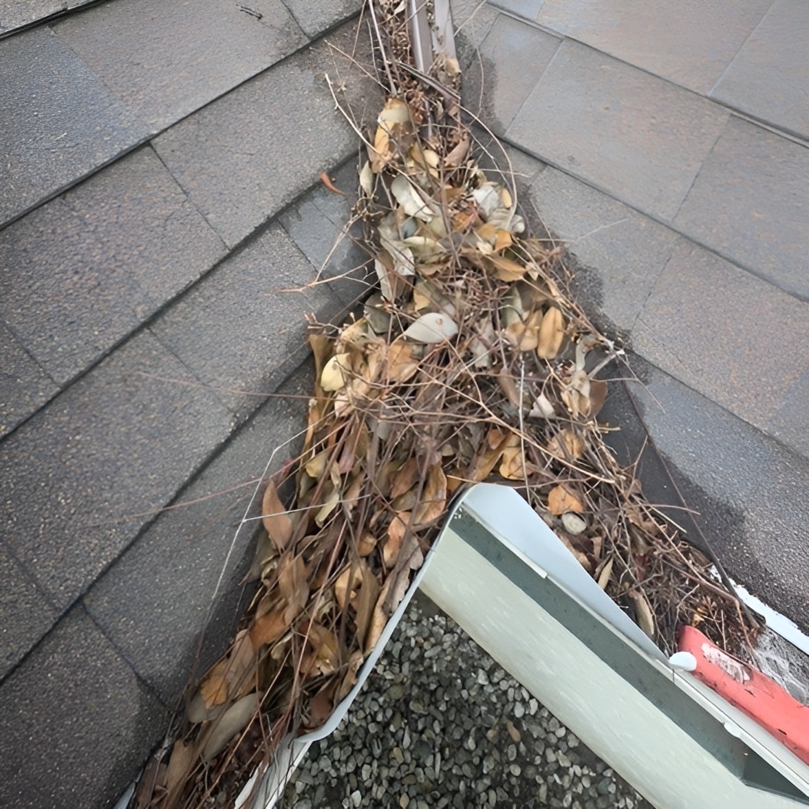 gutter cleanout company in los angeles ca