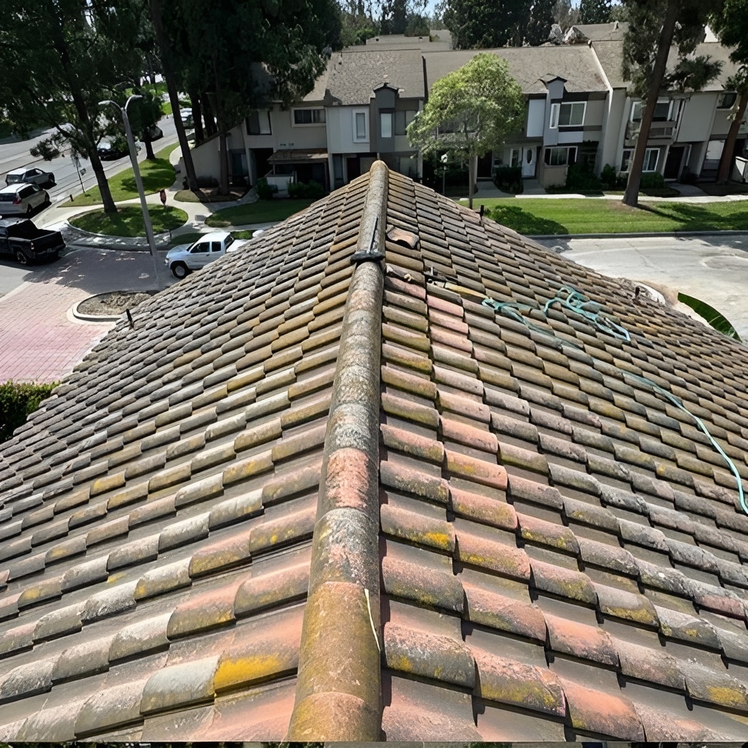 tile roof cleaning service in los angeles ca